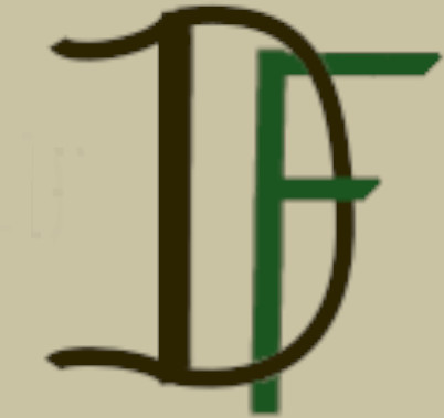 Dark Forest Web Design